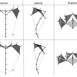 Figure 7-3 is a diagram of the right lateral