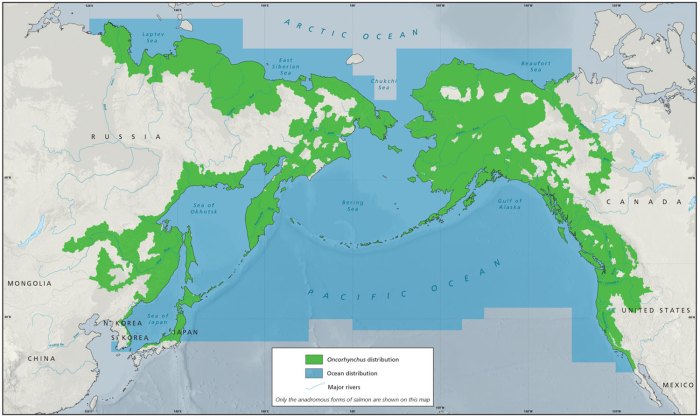 Atlantic distribution populations anadromous