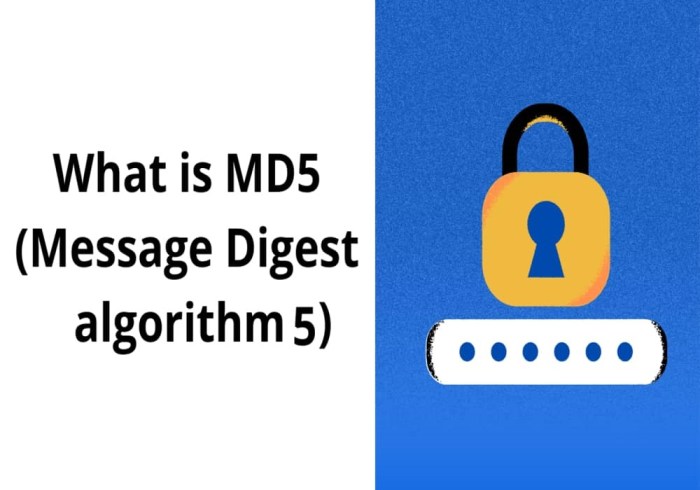 Tcp-6-badauth no md5 digest from