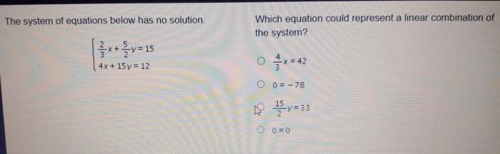 Which equation could represent a linear combination of the system