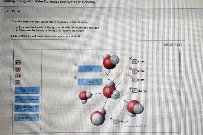 Drag the labels to their appropriate locations on the diagram.