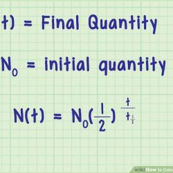 Half-life calculations worksheet with answers