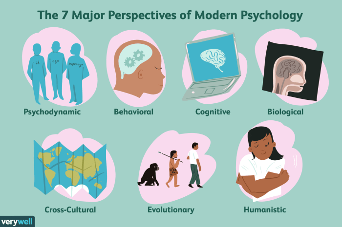 The life span perspective in health psychology reveals that adolescents