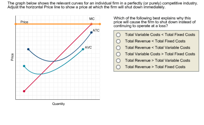 The graph shows the relevant curves for an individual firm