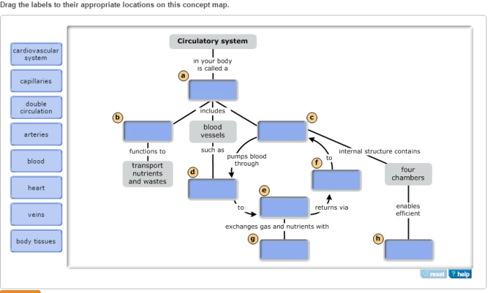 Drag the labels to their appropriate locations on the diagram.