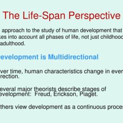 Span life perspective characteristics ppt powerpoint presentation development